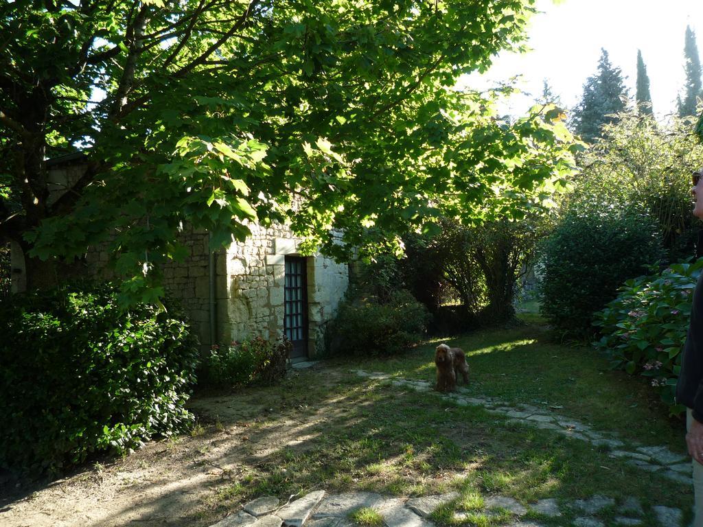La Roche-Clermault Le Logis Du Peu Girard Bed & Breakfast エクステリア 写真